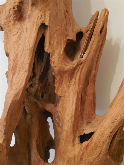 Large Interesting Driftwood Sculpture at 1stDibs | large driftwood sculpture, driftwood ...