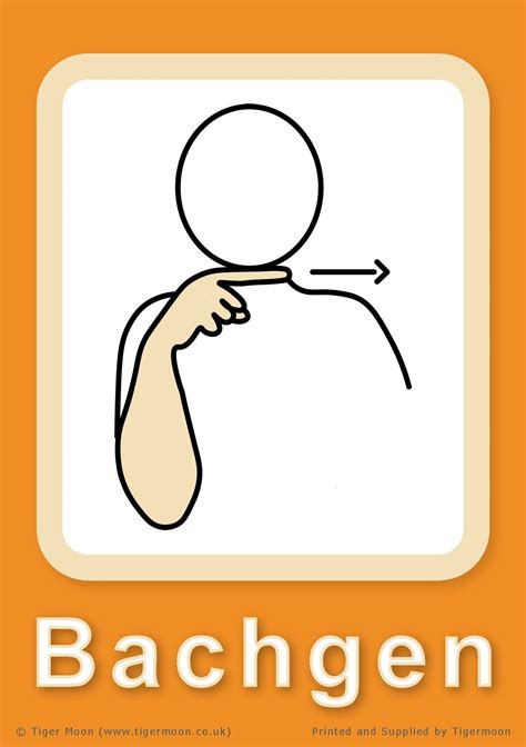 Makaton 20 Basic Signs Flashcards A6 - Welsh – Tiger Moon