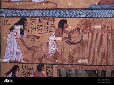 Ancient Egyptian Farming Stock Photos & Ancient Egyptian Farming Stock ...