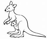 Kangaroo Outline Kangaroos Aboriginal Coloring Drawing Dot Animal  sketch template