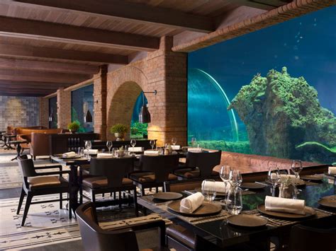 Koral Restaurant presents a Bali ultra luxury Aquarium Dining Experience - Richest MoFo