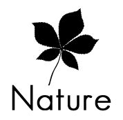 Nature Silhouettes | Silhouettes of Nature