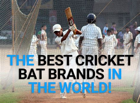 What are the Best Cricket Bat Brands in the World?