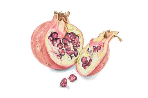 a watercolor painting of two pomegranates with seeds on the side