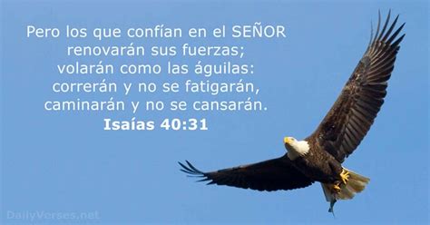 Isaías 40:31 - Versículo de la Biblia - DailyVerses.net