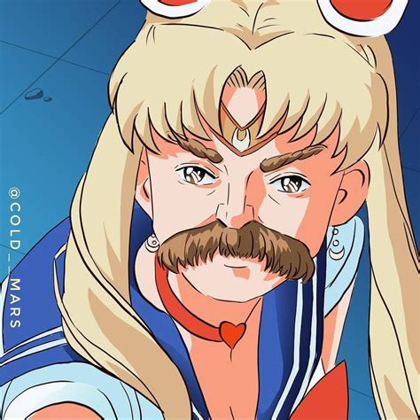 Usagi Onbaşı | Sailor moon art, Sailor moon meme, Sailor moon