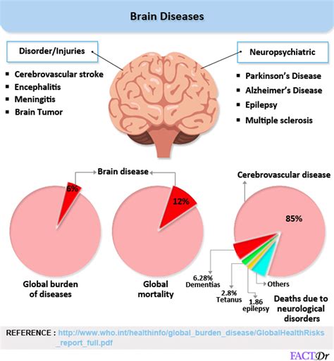 Common diseases that could cripple your vital organs | FactDr