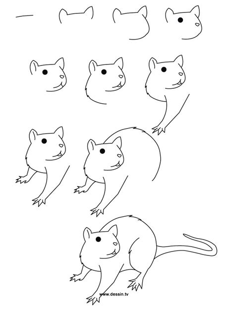 Drawing rat | Animal drawings, Easy animal drawings, Easy drawings