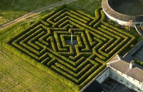 How to Find Your Way Through a Maze | Laureen Marchand, Artist