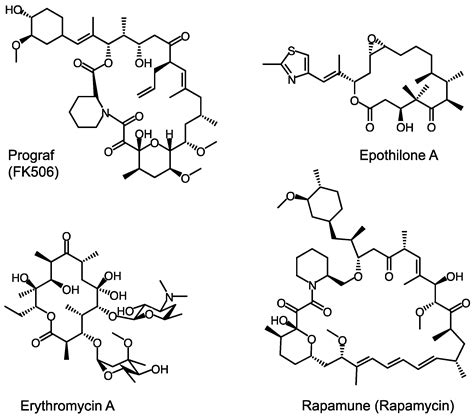 Molecules | Free Full-Text | Towards Precision Engineering of Canonical ...