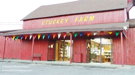 Stuckey Farm Orchard & Cider Mill | Edible Indy