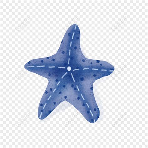 Blue Starfish, Blue Dark, Blue Vector, Blue Watercolor PNG Transparent Background And Clipart ...