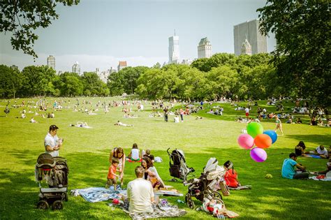 Best picnic spots in Central Park for a picturesque, outdoor meal | Nyc ...