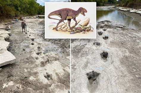 Dinosaur Tracks