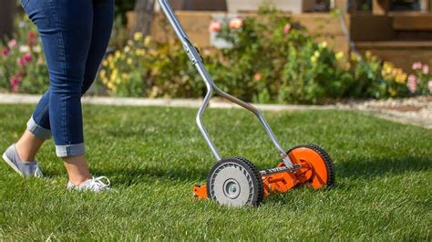 5 Best Manual Reel Mowers For Your Lawn to Buy