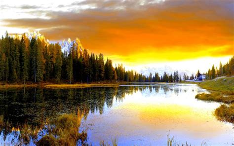 HD Pine Forest Lake Wallpaper | Download Free - 122574