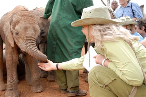 Meet the orphaned elephants at the David Sheldrick Wildlife Trust ...