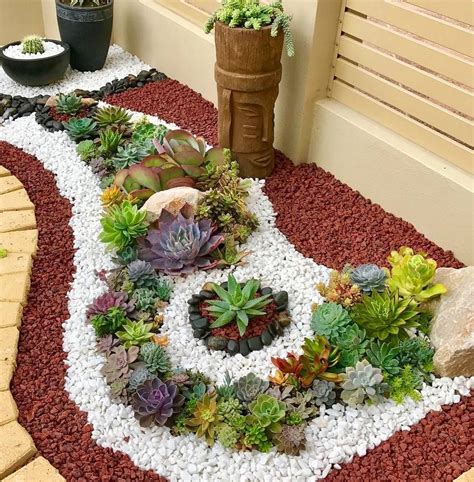 How to Grow Succulents | Rock garden design, Succulent garden design, Succulent garden landscape