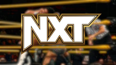 WWE NXT Season 1 Competitor Describes Scrapped Format For Show