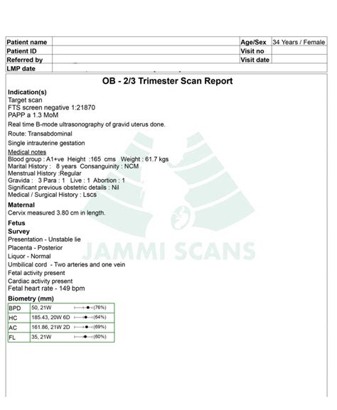 Anomaly scan report normal in 2023