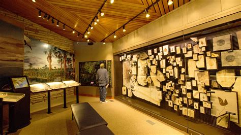 Plant wall exhibit inside the visitor center at Fossil Butte National Monument - Yellowstone ...