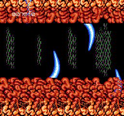 Abadox: The Deadly Inner War (NES) - Video Game Music Preservation ...