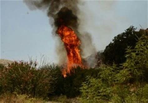 Spain: 300 Evacuated as Forest Fire Burns 1,000 Hectares - Other Media news - Tasnim News Agency