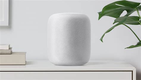 Google Home, Amazon Echo, Apple HomePod: Everything you need to know - Curbed