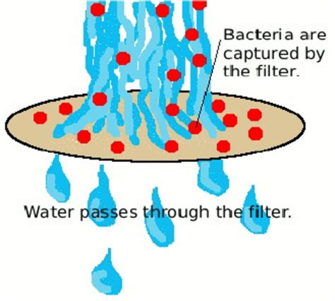 Membrane filtration process | Download Scientific Diagram