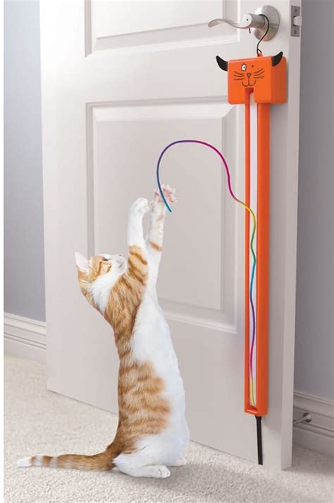 Cat String Toy