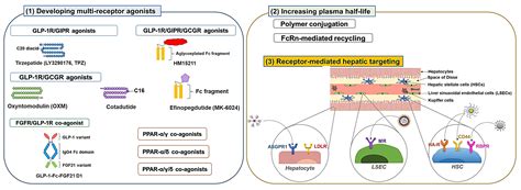 Pharmaceutics | Free Full-Text | Pharmaceutical Strategies to Improve Druggability of Potential ...