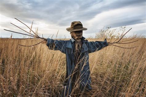 The Scarecrow in the Wheat Field Stock Photo - Image of legend, night ...