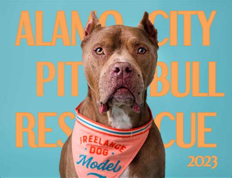 2023 ACPBR Calendar | Alamo City Pit Bull Rescue | San Antonio, Texas