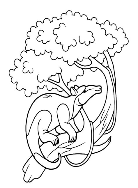 Anteater Sitting On A Tree Coloring Page - Free Printable Coloring Pages