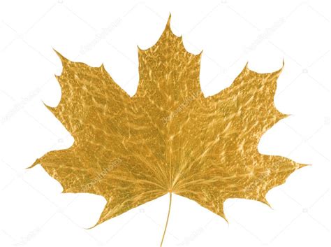 Gold maple leaf — Stock Photo © nrey_ad #1151974