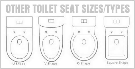 Toilet Seat Sizes and Replacement - Round or Elongated? | Toilet seat, Seating, New toilet