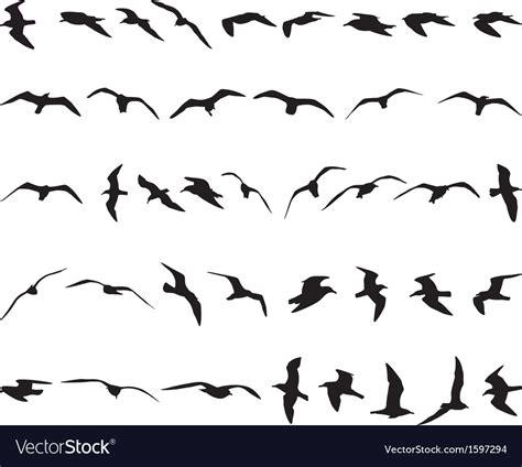 Seagulls Royalty Free Vector Image - VectorStock