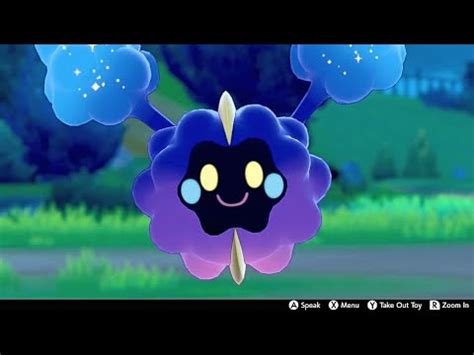 Cosmog In Camp - Pokemon Sword & Shield - YouTube