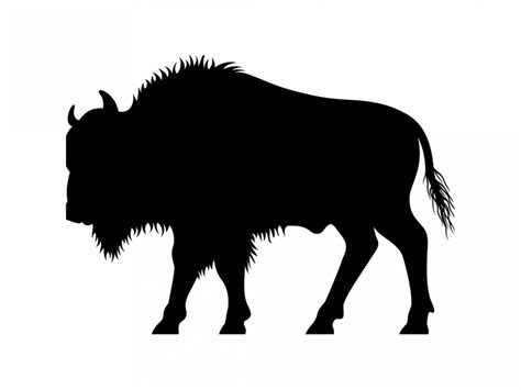 Bison Silhouette Free Stock Photo - Public Domain Pictures