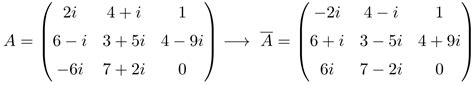 What is the complex conjugate of a matrix? (And how to find it?)