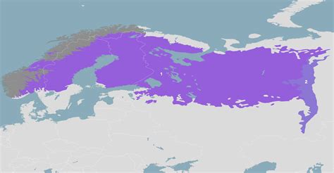 Ural Mountains & West Eurasian Taiga Forests (PA8) | One Earth