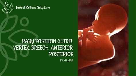 Baby Position Guide! Vertex, Breech, Anterior, Posterior - It's All Here! - YouTube