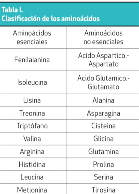 LA METIONINA, UN AMINOÁCIDO BÁSICO EN LA NUTRICIÓN - Ganaderia SOS: Solución Integral Ganadera