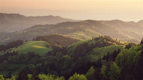 The Most Beautiful Forests in the World | Condé Nast Traveler