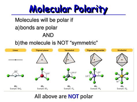 Bromine Polar Molecule at Ebony Williams blog