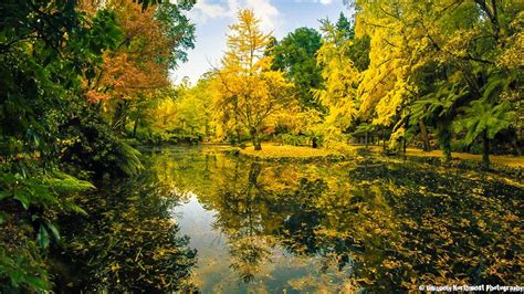 Photos: Vibrant fall colors around the Pacific Northwest | KPIC