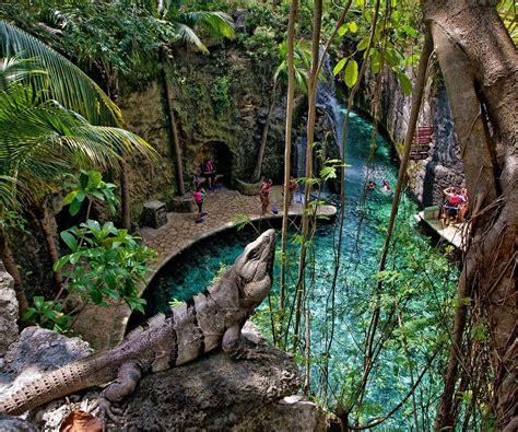 Undergroud rivers | Xcaret Park Official Site | Destinos para viajar ...