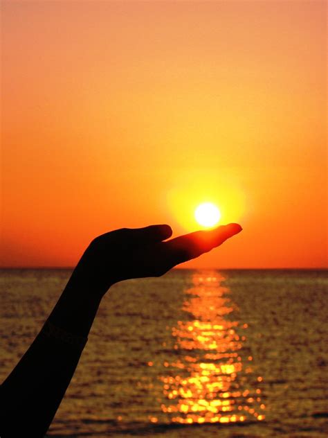 Free Images : hand, sea, ocean, horizon, silhouette, sun, sunrise ...