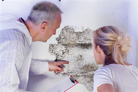 Mold Removal Services in West Palm Beach | Clean Air Xperts