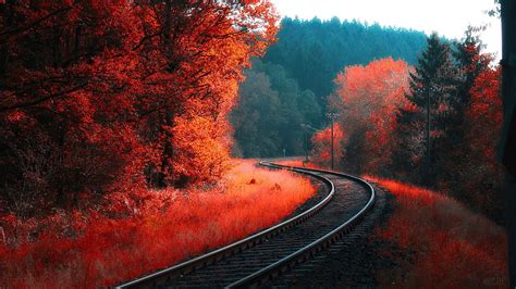 Railroad , Backgrounds, autumn train track HD wallpaper | Pxfuel